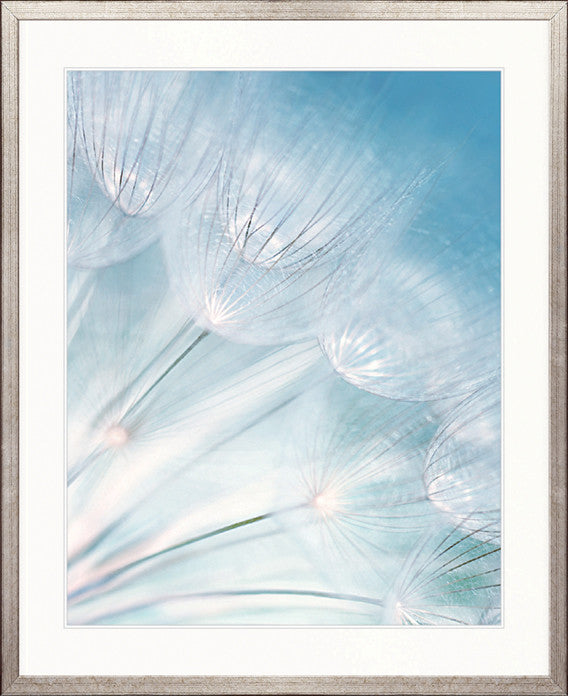 Floating Seeds I