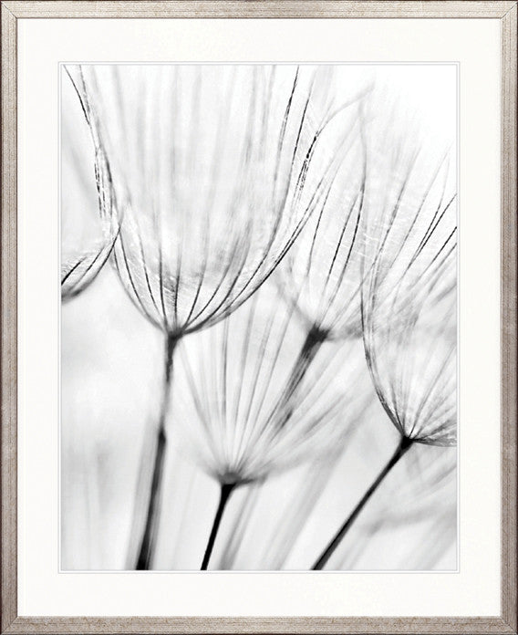 Floating Seeds II