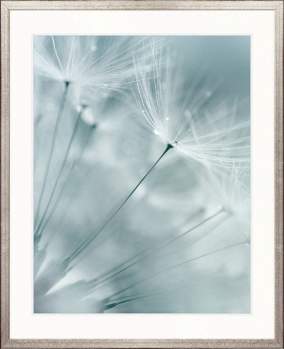 Floating Seeds IV