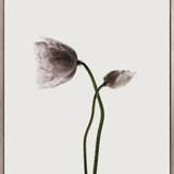 Floret I (Canvas) Large (903mm W x 1109mm H)