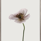 Floret II (Canvas) Large (903mm W x 1109mm H)
