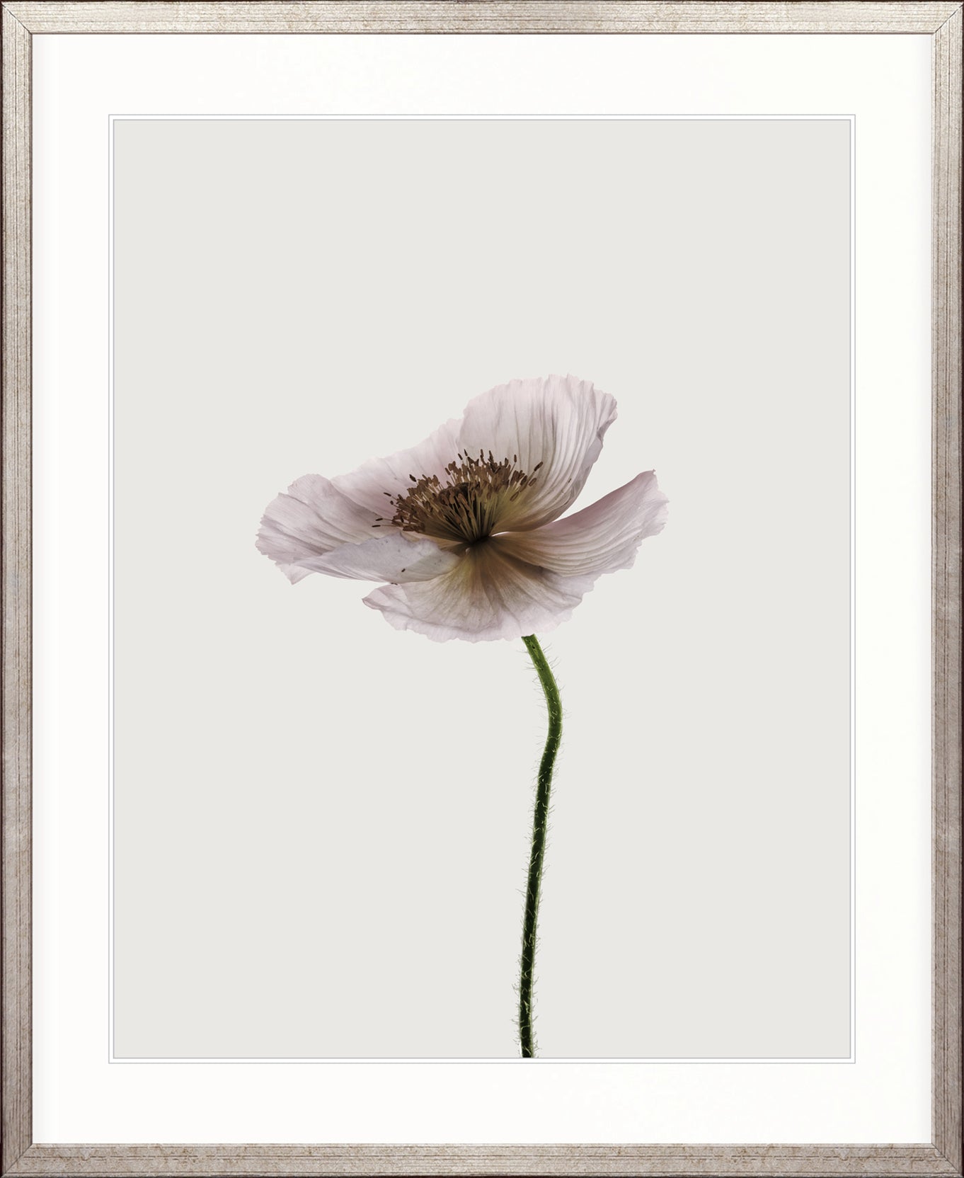 Floret II