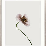 Floret III Small (465mm W x 560mm H) / Standard Clear Glass