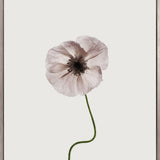 Floret IV (Canvas) Large (903mm W x 1109mm H)