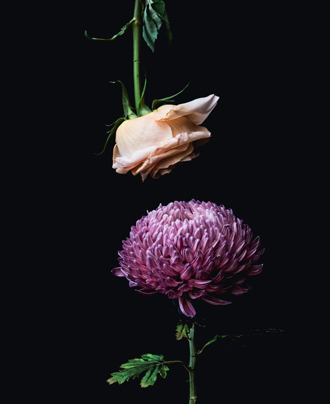 Floral Lens I (Canvas)