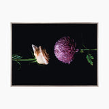 Floral Lens I (Canvas) Large (903mm W x 1109mm H)