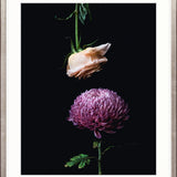 Floral Lens I Small (465mm W x 560mm H) / Standard Clear Glass