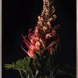 Floral Lens II (Canvas) Large (903mm W x 1109mm H)
