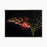 Floral Lens II (Canvas) Large (903mm W x 1109mm H)