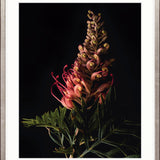 Floral Lens II Small (465mm W x 560mm H) / Standard Clear Glass