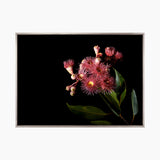 Floral Lens IV (Canvas) Large (903mm W x 1109mm H)