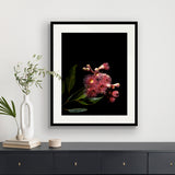 Floral Lens IV Small (465mm W x 560mm H) / Standard Clear Glass