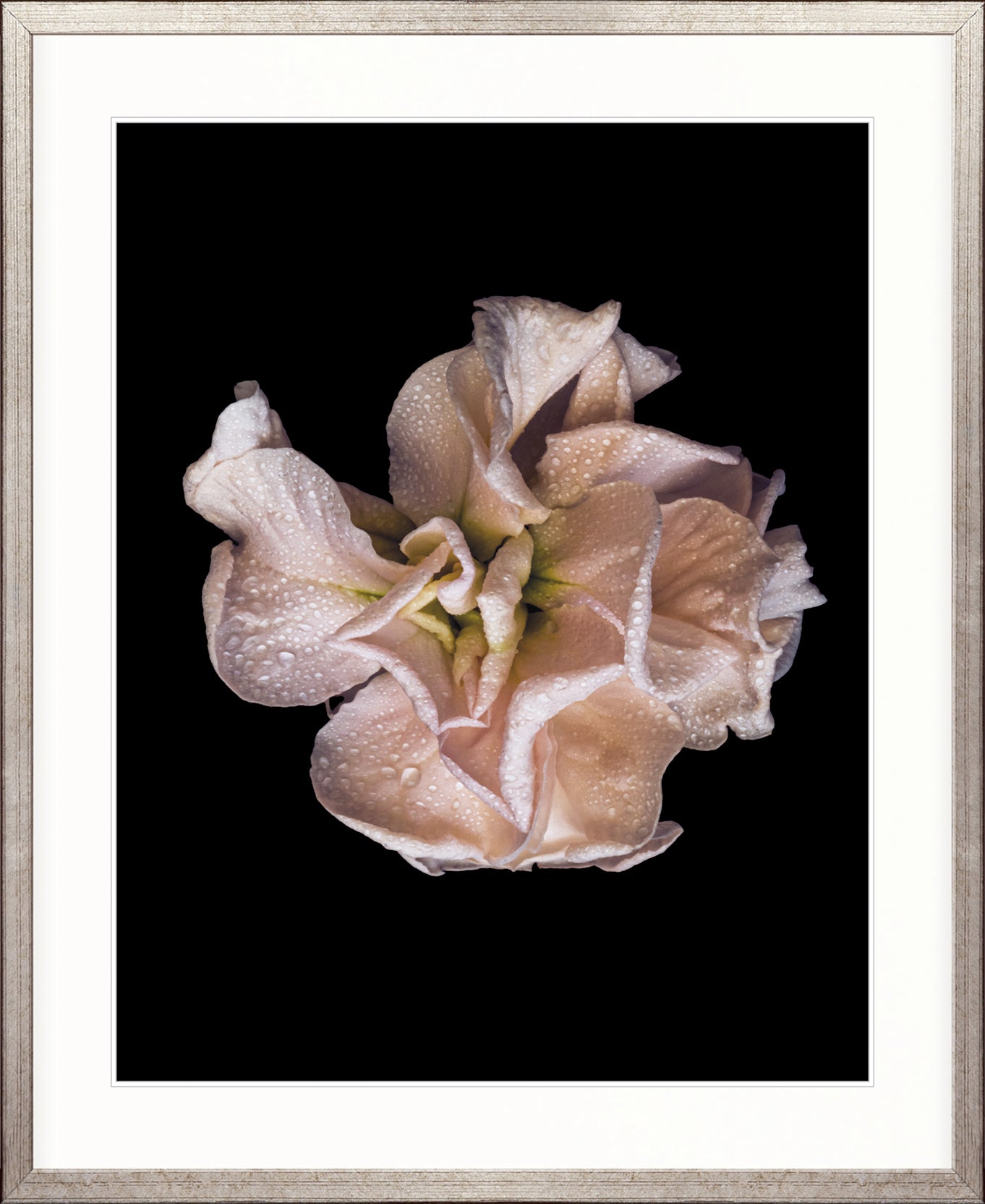 Floral Lens V