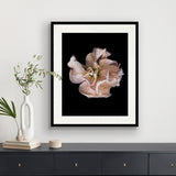Floral Lens V Small (465mm W x 560mm H) / Standard Clear Glass