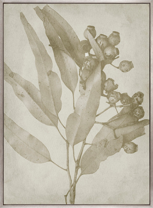 Foliage Splendour (Natural) V (Canvas)