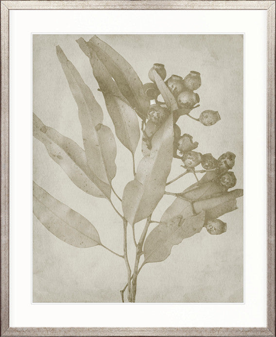 Foliage Splendour (Natural) V