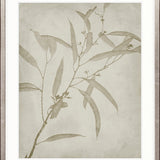 Foliage Splendour (Natural) VI