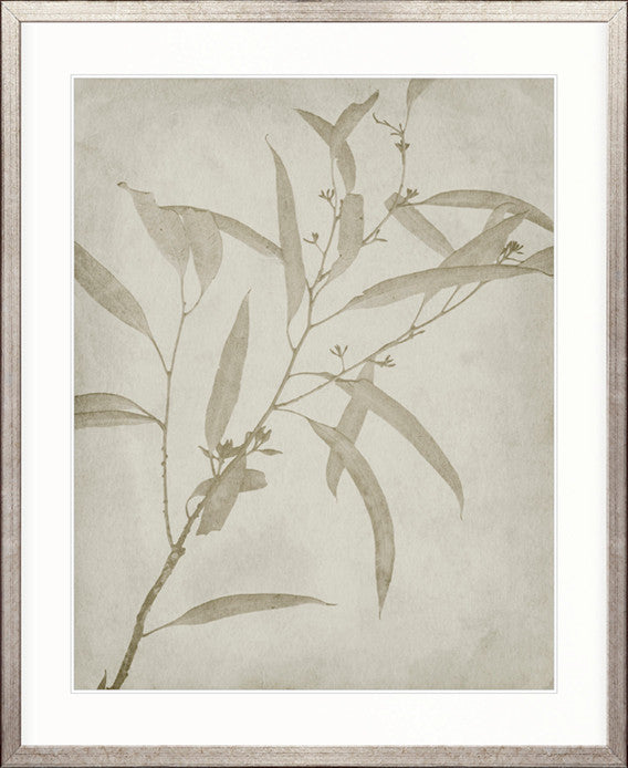 Foliage Splendour (Natural) VI