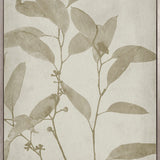 Foliage Splendour (Natural) VII (Canvas)