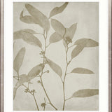 Foliage Splendour (Natural) VII