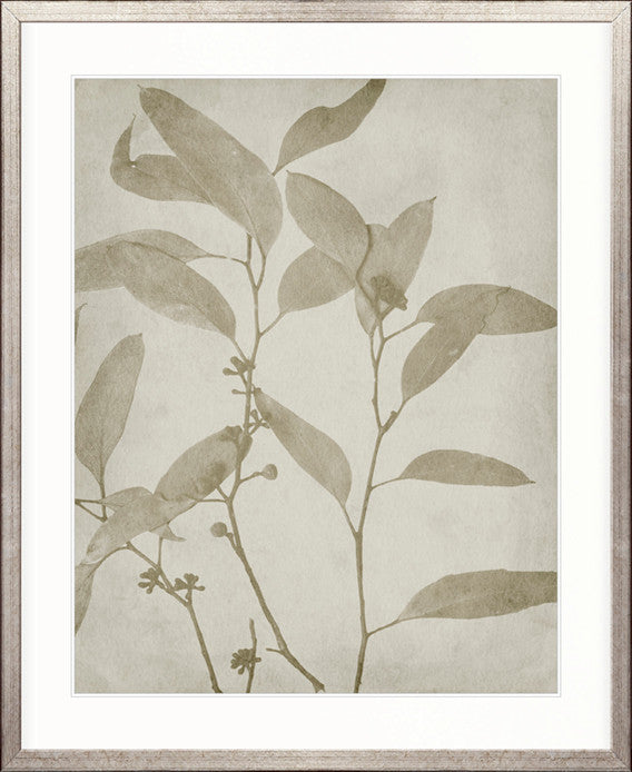 Foliage Splendour (Natural) VII