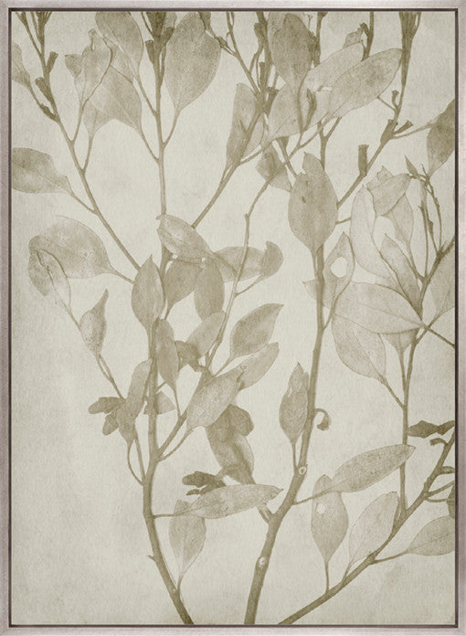 Foliage Splendour (Natural) VIII (Canvas)