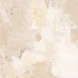 Gypsum Veils I