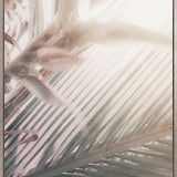 Gardiners Palms II (Canvas)