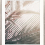 Gardiners Palms II