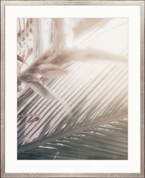 Gardiners Palms II