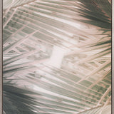 Gardiners Palms IV (Canvas)