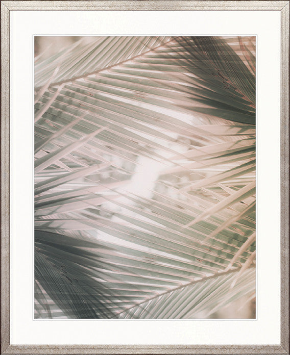 Gardiners Palms IV