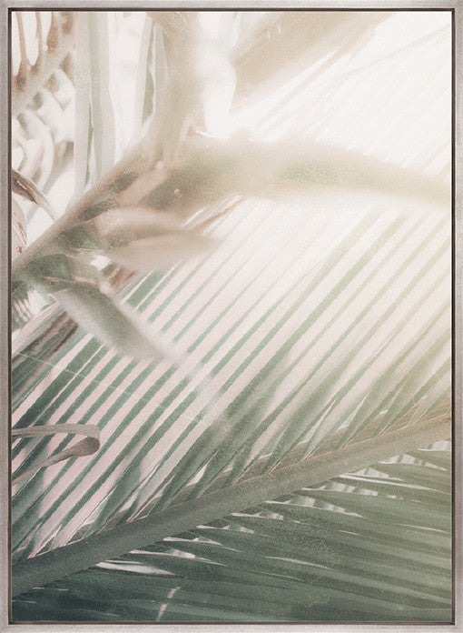 Gardiners Palms V (Canvas)