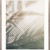 Gardiners Palms V