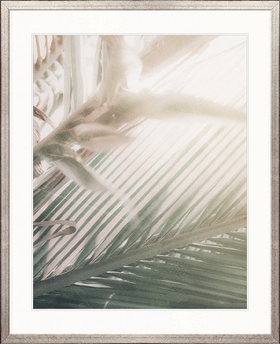 Gardiners Palms V