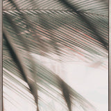 Gardiners Palms VI (Canvas)