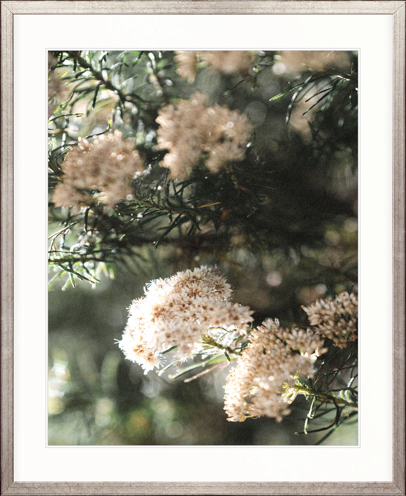 Gondwana Foliage I