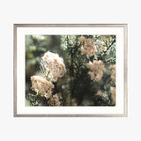 Gondwana Foliage I Small (465mm W x 560mm H) / Standard Clear Glass