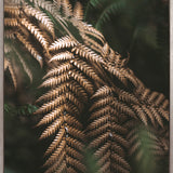 Gondwana Foliage II (Canvas) Large (903mm W x 1109mm H)