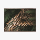 Gondwana Foliage II (Canvas) Large (903mm W x 1109mm H)