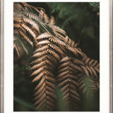 Gondwana Foliage II Small (465mm W x 560mm H) / Standard Clear Glass