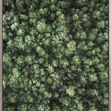 Gondwana Foliage III (Canvas) Large (903mm W x 1109mm H)