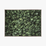 Gondwana Foliage III (Canvas) Large (903mm W x 1109mm H)