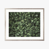 Gondwana Foliage III Small (465mm W x 560mm H) / Standard Clear Glass