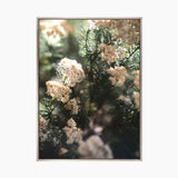 Gondwana Foliage V (Canvas)