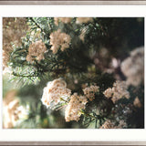 Gondwana Foliage V Small (560mm W x 465mm H) / Standard Clear Glass