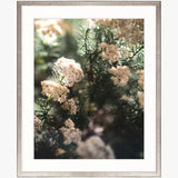 Gondwana Foliage V Small (560mm W x 465mm H) / Standard Clear Glass