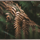 Gondwana Foliage VI (Canvas) Large (1109mm W x 903mm H)