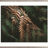 Gondwana Foliage VI Small (560mm W x 465mm H) / Standard Clear Glass