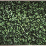 Gondwana Foliage VII (Canvas) Large (1109mm W x 903mm H)